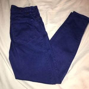 Marciano Cobalt Blue Pants